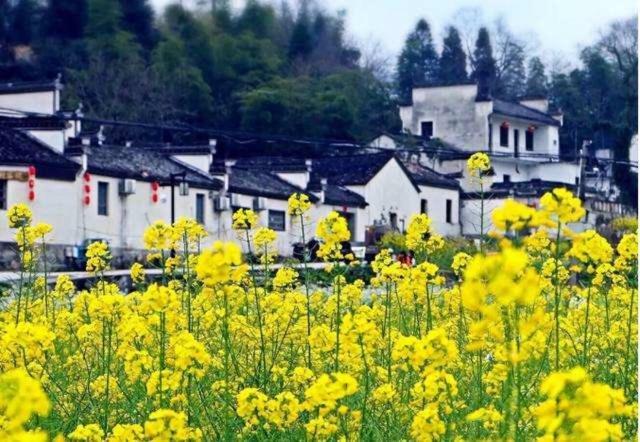 Xishan Wutong Qinyuan Montes Huang Exterior foto